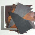 Buffalo Leather Scraps — 2 lb Bag, 8-10 oz Mixed Colors